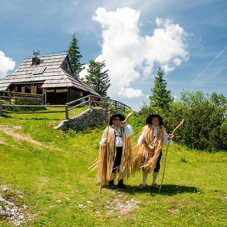 Chalet Tisa Velika Planina Стаховиця Екстер'єр фото