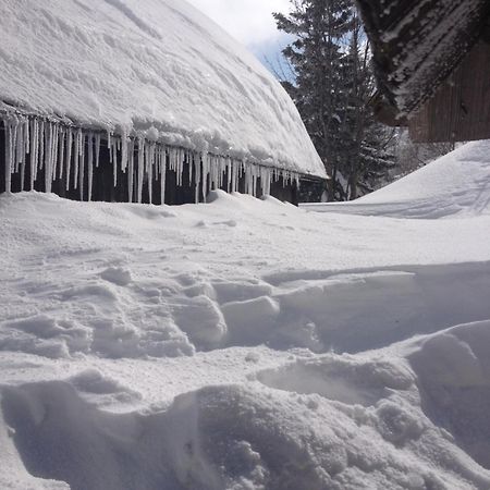 Chalet Tisa Velika Planina Стаховиця Екстер'єр фото