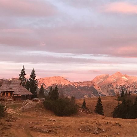Chalet Tisa Velika Planina Стаховиця Екстер'єр фото