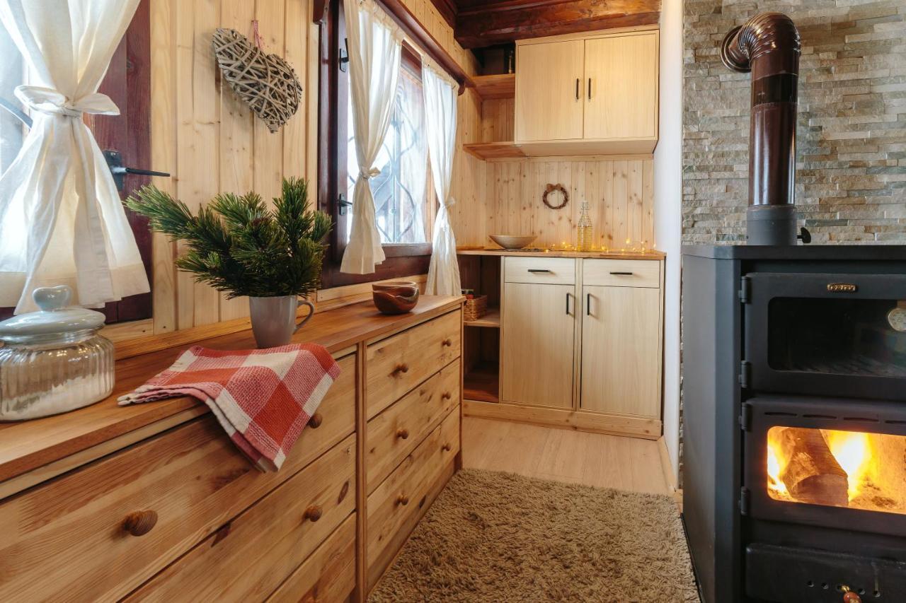 Chalet Tisa Velika Planina Стаховиця Екстер'єр фото