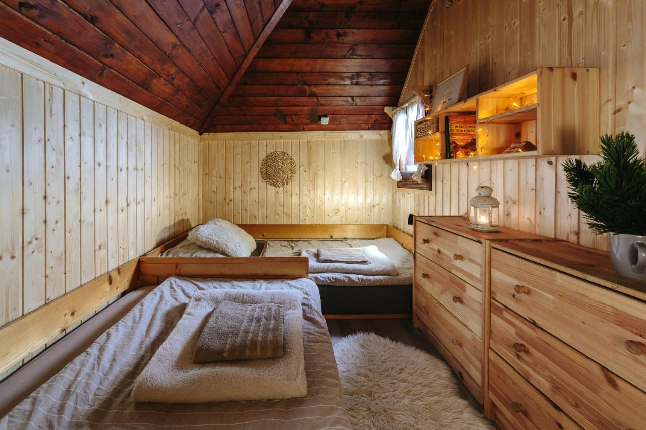 Chalet Tisa Velika Planina Стаховиця Екстер'єр фото