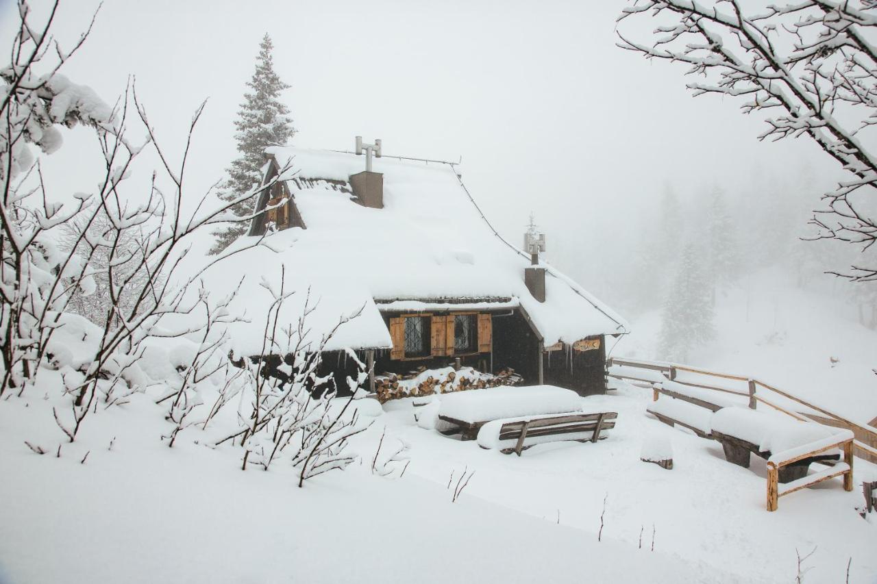 Chalet Tisa Velika Planina Стаховиця Екстер'єр фото