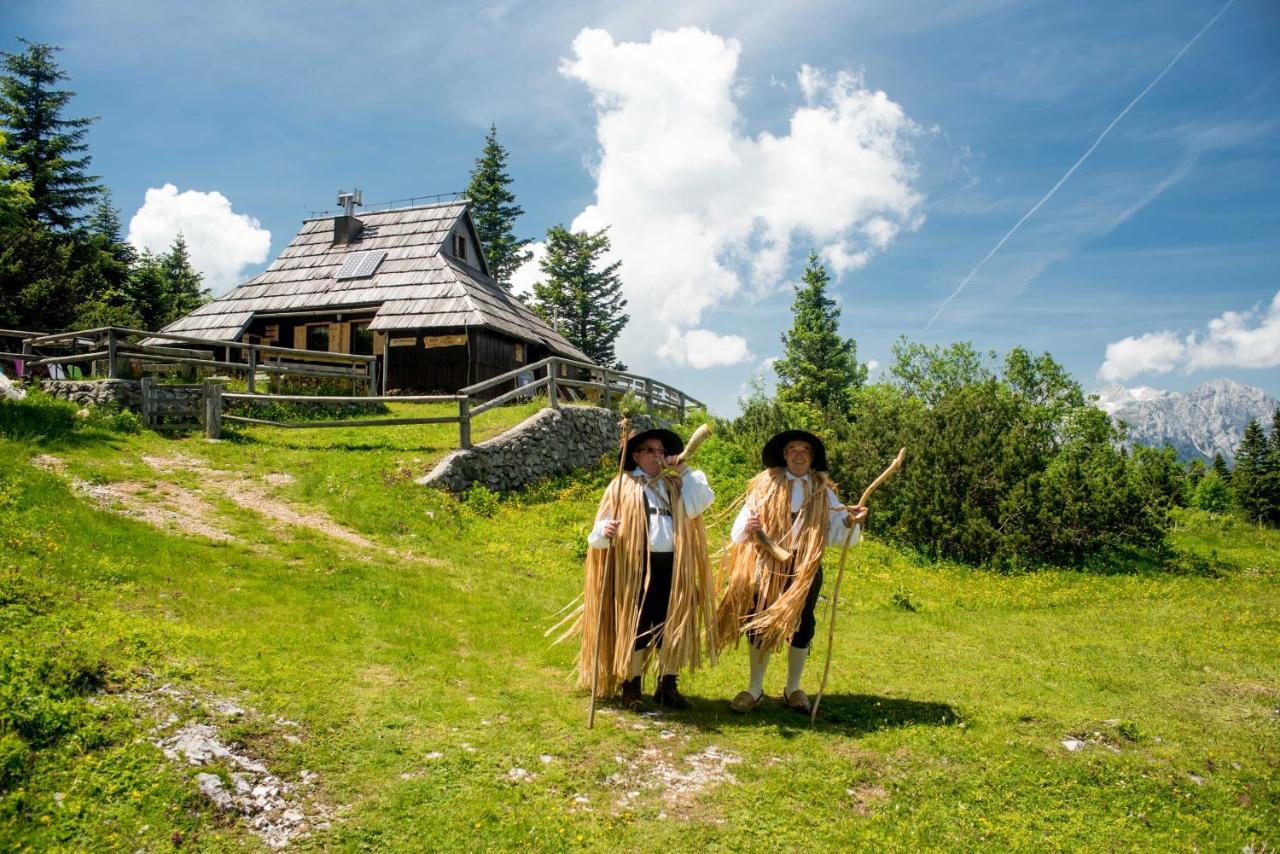 Chalet Tisa Velika Planina Стаховиця Екстер'єр фото