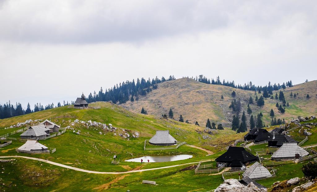 Chalet Tisa Velika Planina Стаховиця Номер фото