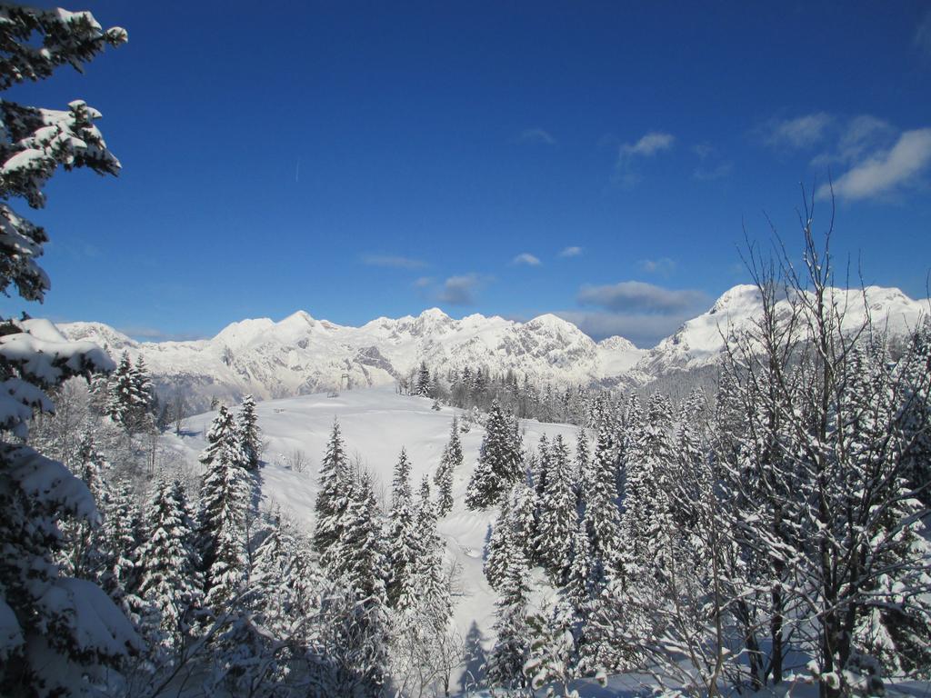 Chalet Tisa Velika Planina Стаховиця Номер фото