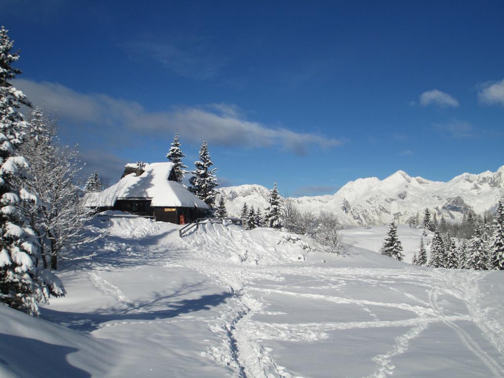 Chalet Tisa Velika Planina Стаховиця Номер фото