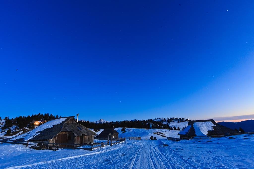 Chalet Tisa Velika Planina Стаховиця Номер фото