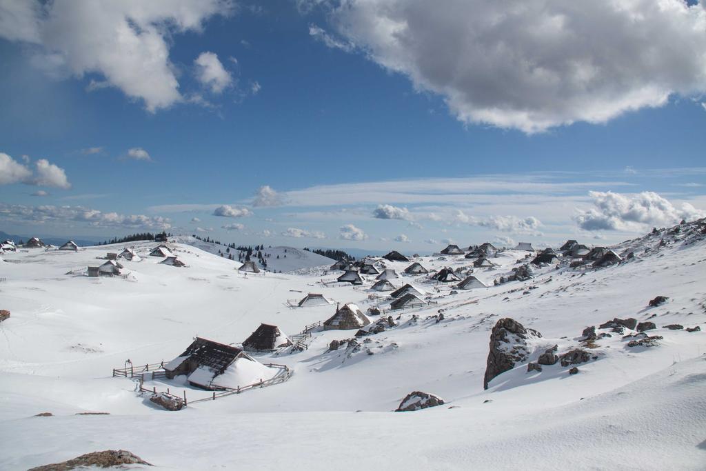 Chalet Tisa Velika Planina Стаховиця Номер фото