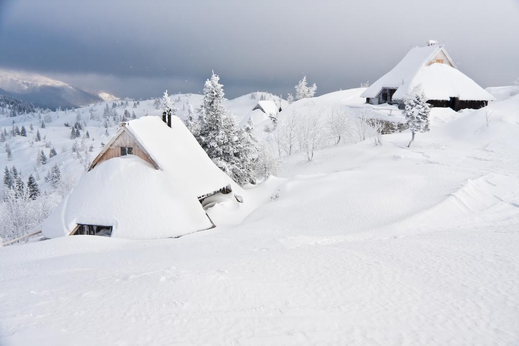 Chalet Tisa Velika Planina Стаховиця Номер фото