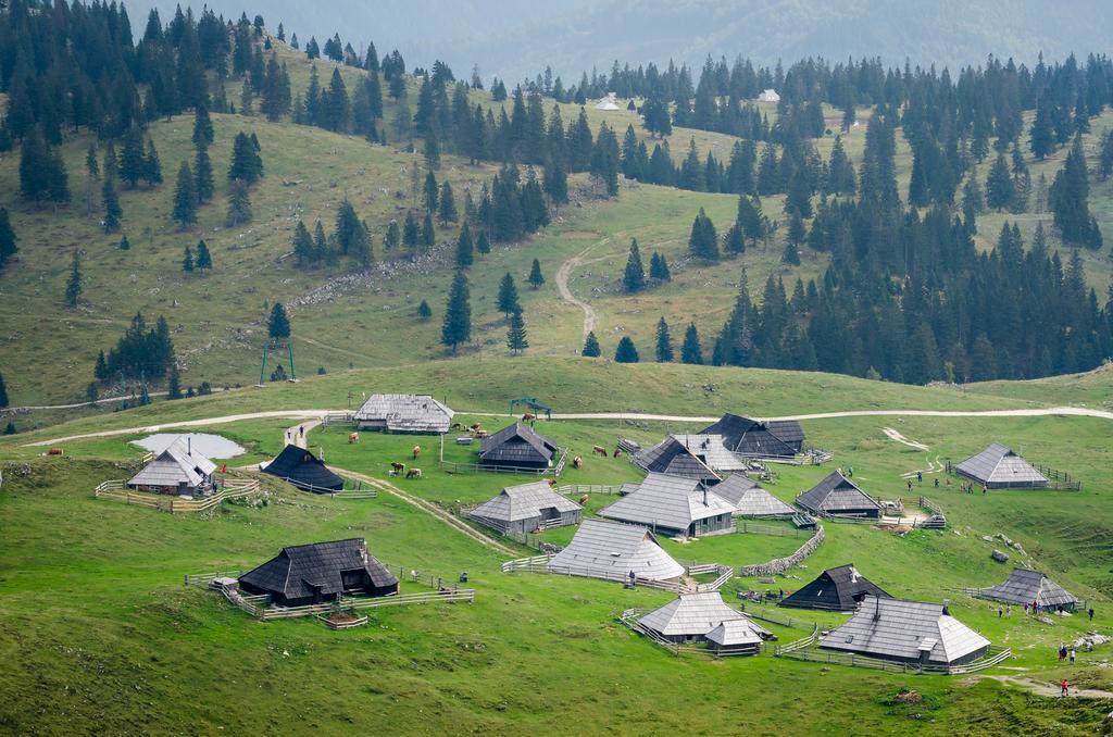 Chalet Tisa Velika Planina Стаховиця Номер фото