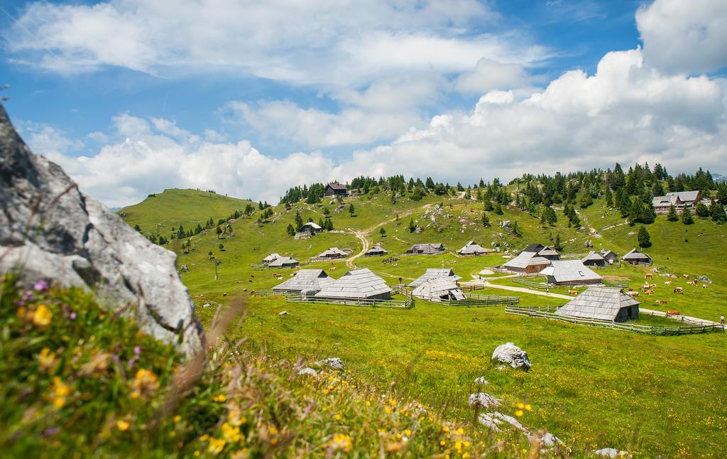Chalet Tisa Velika Planina Стаховиця Номер фото