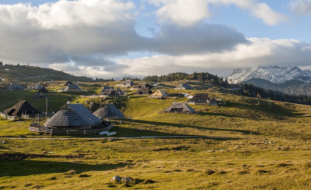 Chalet Tisa Velika Planina Стаховиця Номер фото