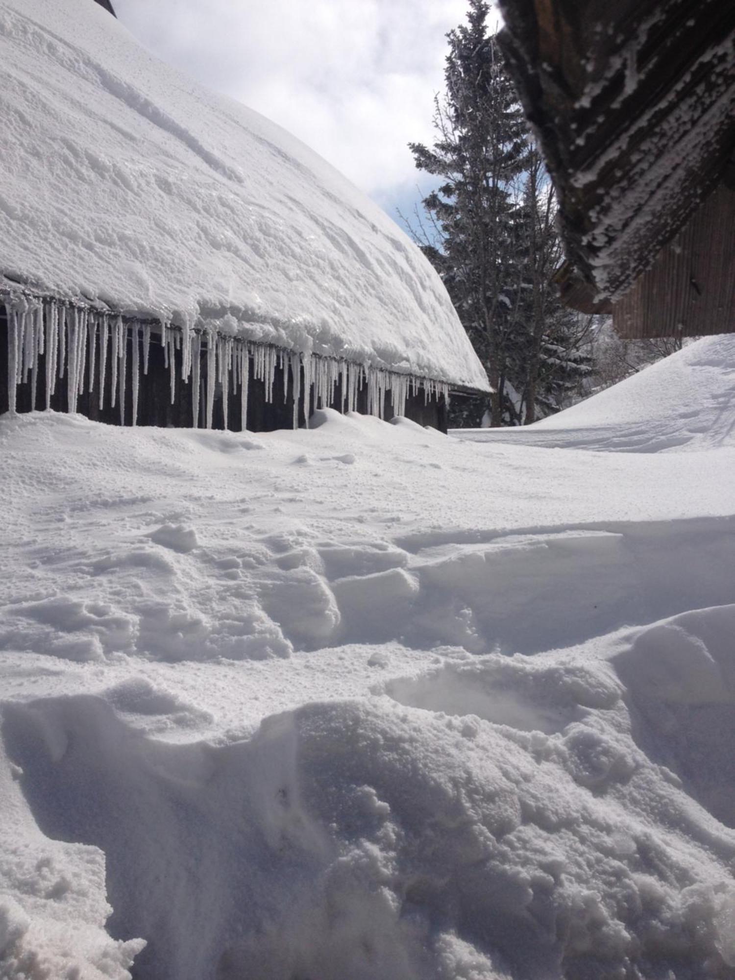 Chalet Tisa Velika Planina Стаховиця Екстер'єр фото