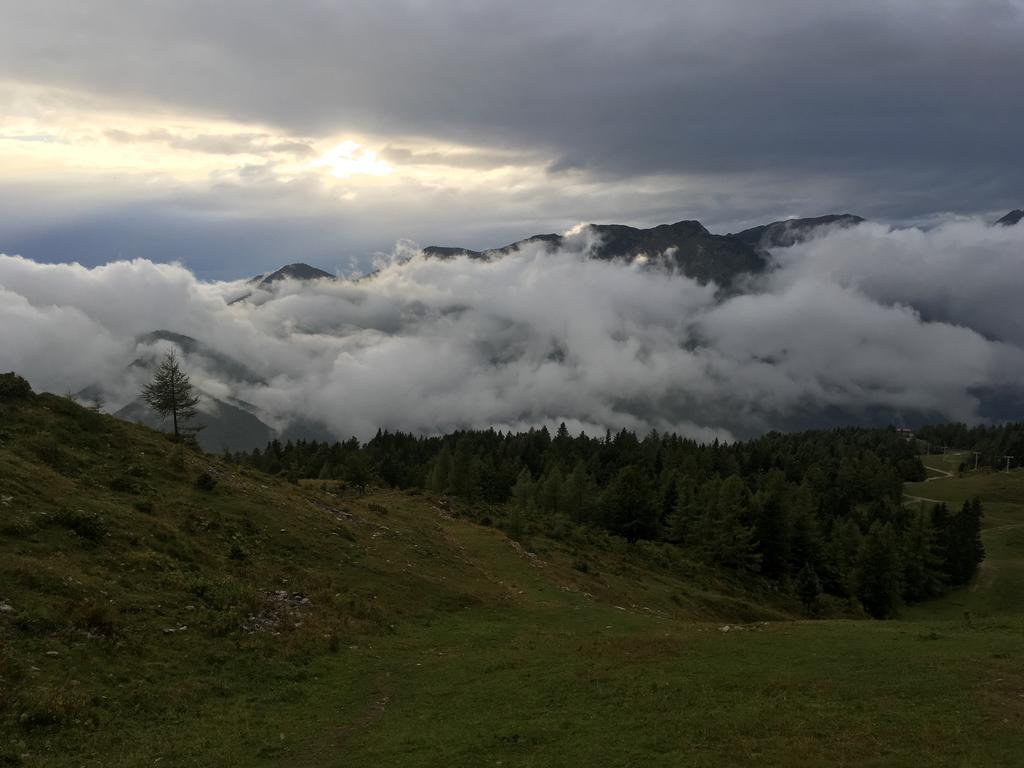 Chalet Tisa Velika Planina Стаховиця Екстер'єр фото