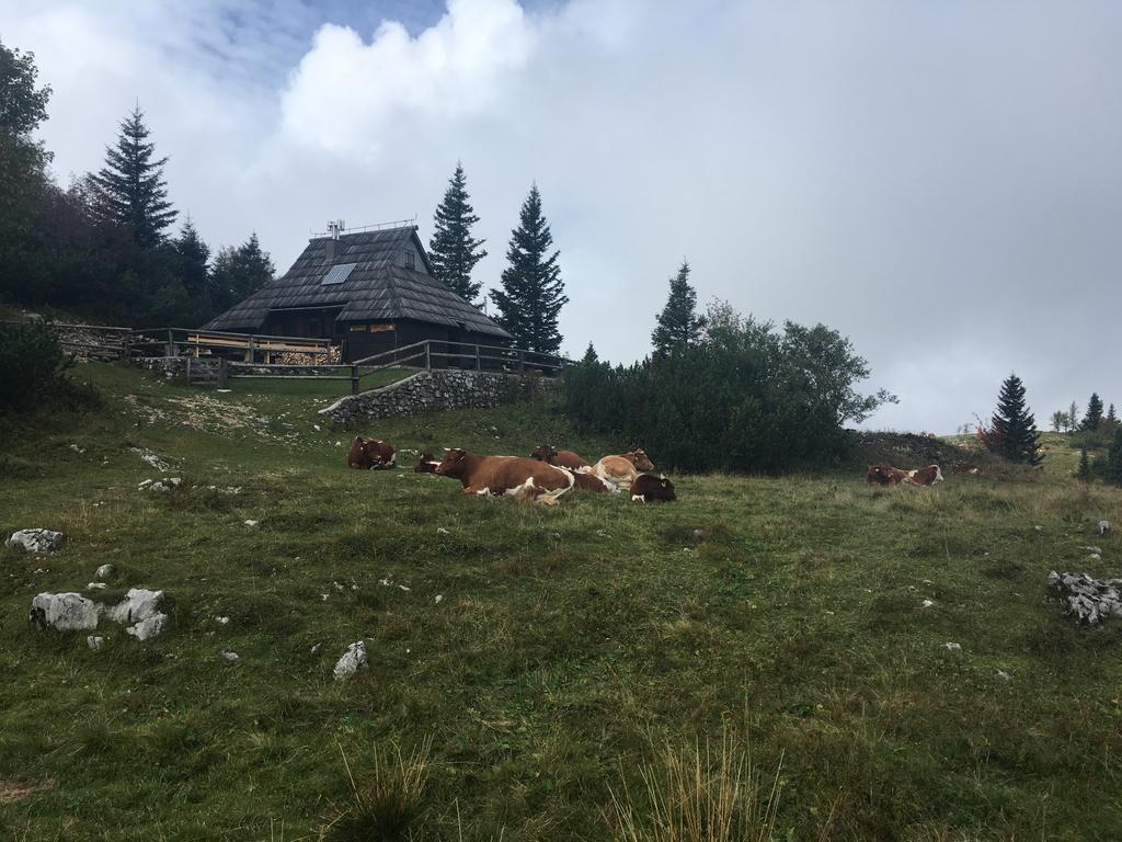 Chalet Tisa Velika Planina Стаховиця Екстер'єр фото