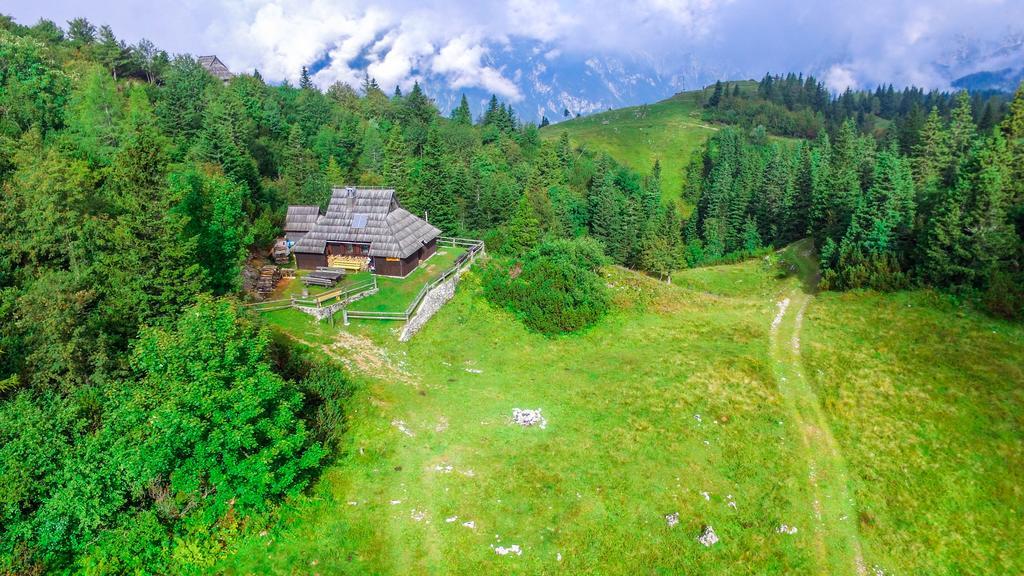 Chalet Tisa Velika Planina Стаховиця Екстер'єр фото
