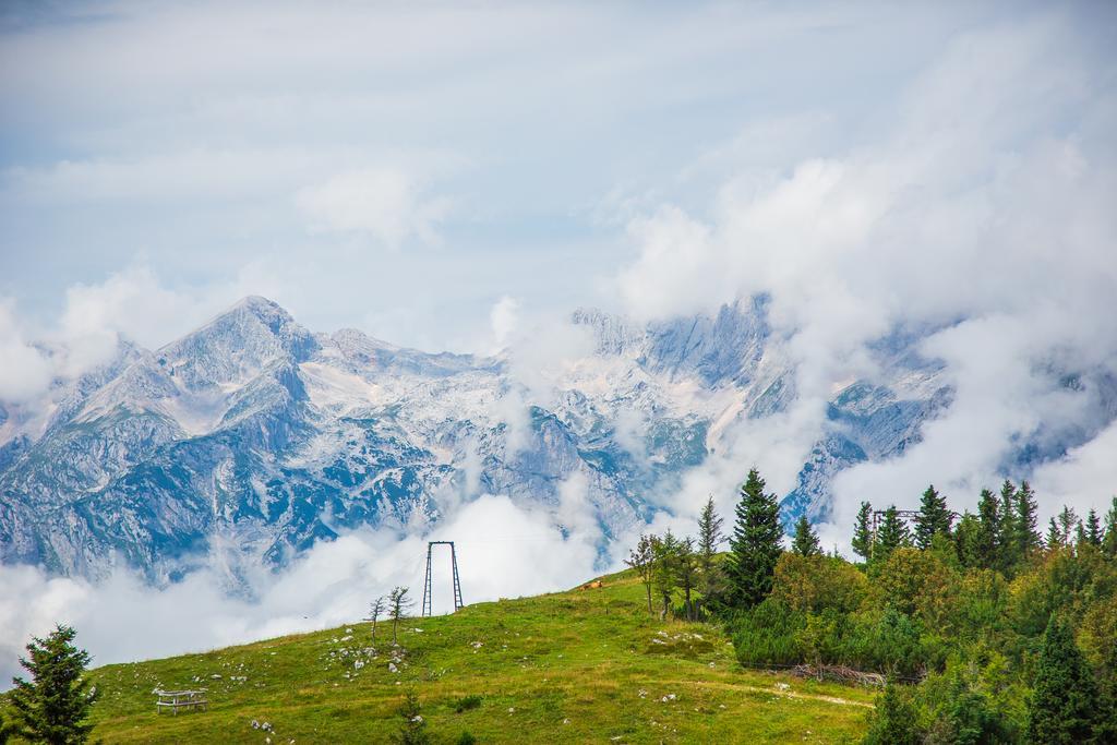 Chalet Tisa Velika Planina Стаховиця Екстер'єр фото