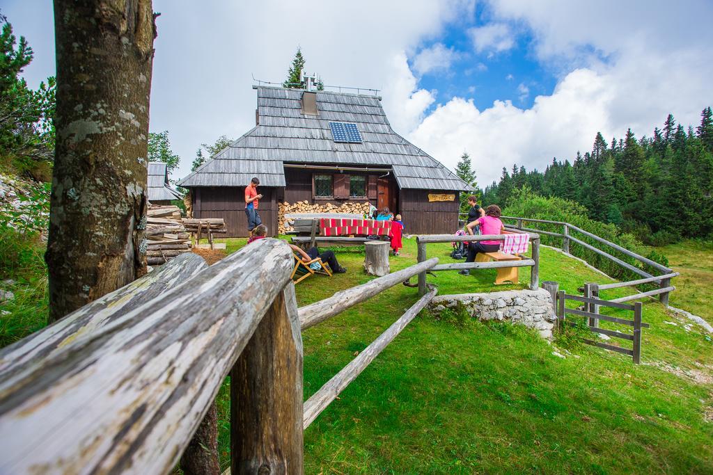 Chalet Tisa Velika Planina Стаховиця Екстер'єр фото
