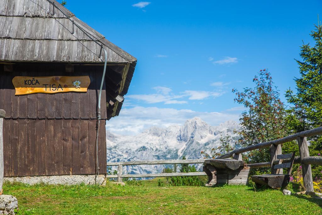 Chalet Tisa Velika Planina Стаховиця Екстер'єр фото