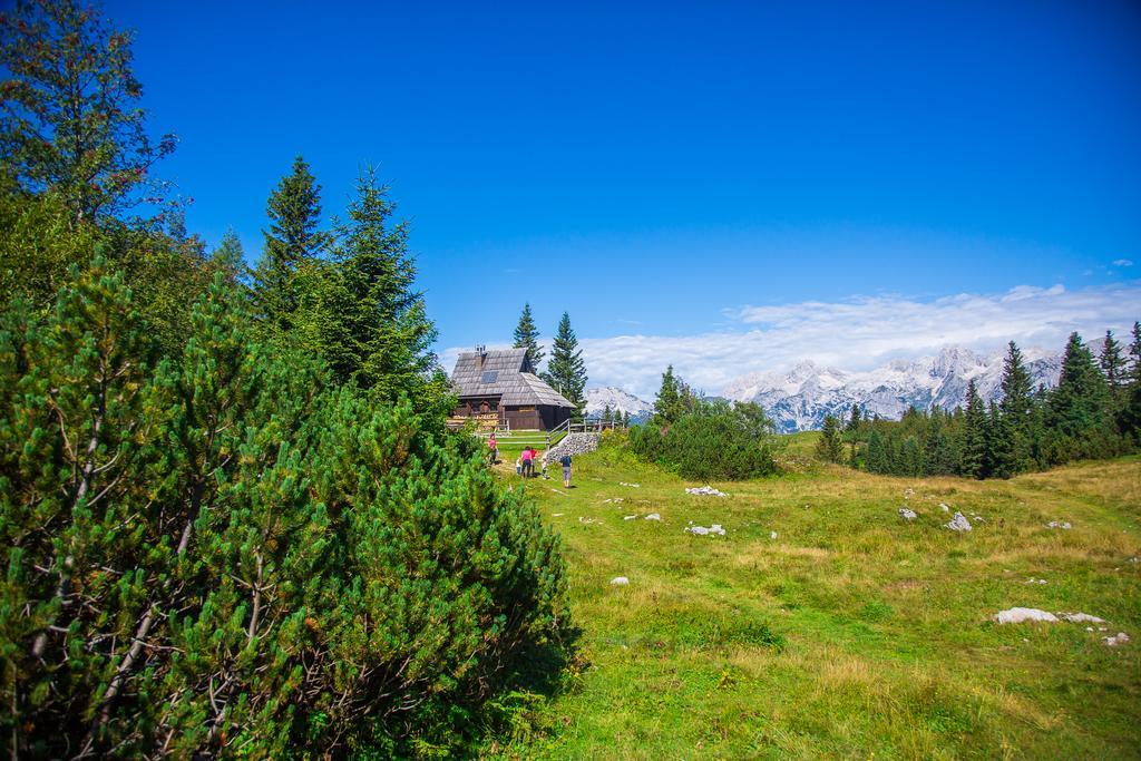 Chalet Tisa Velika Planina Стаховиця Екстер'єр фото