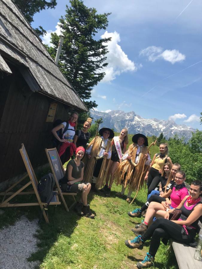Chalet Tisa Velika Planina Стаховиця Екстер'єр фото