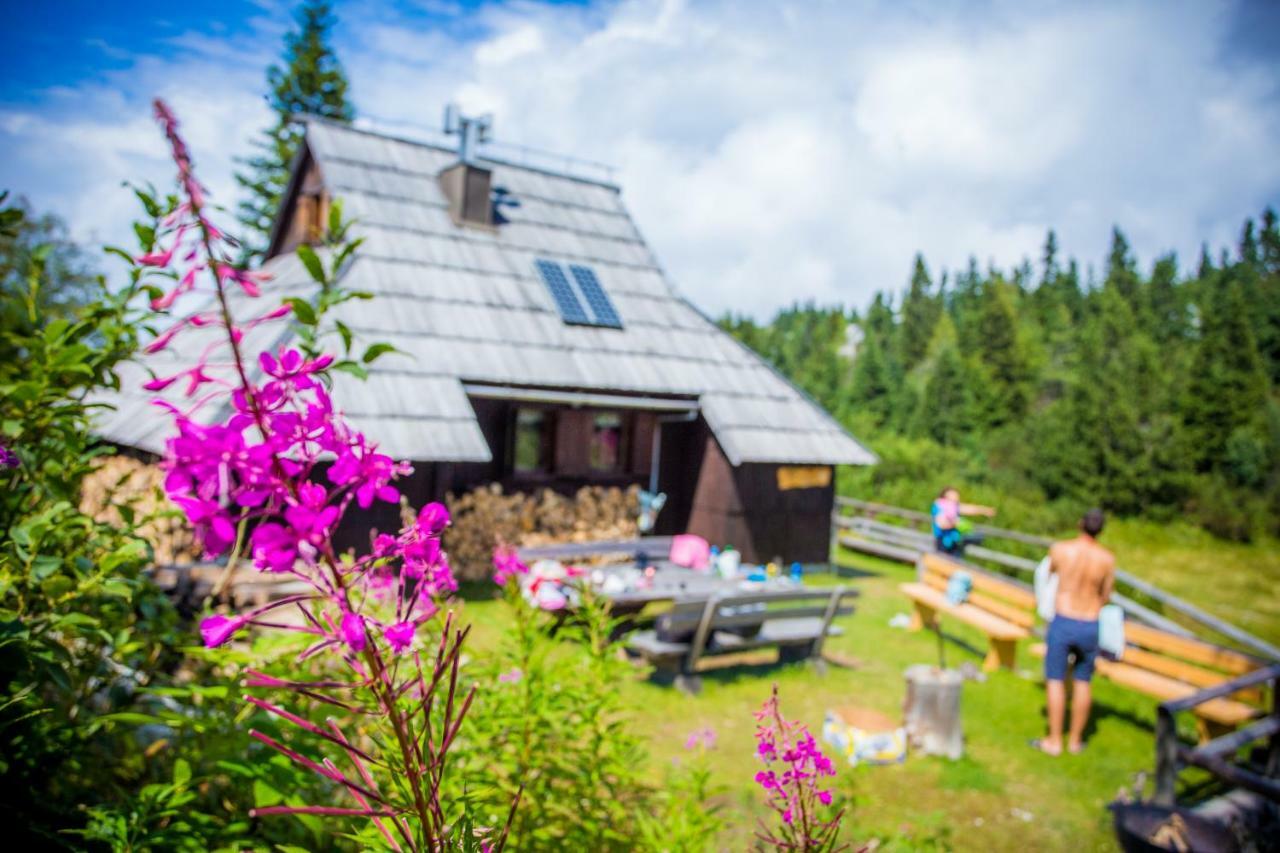 Chalet Tisa Velika Planina Стаховиця Екстер'єр фото