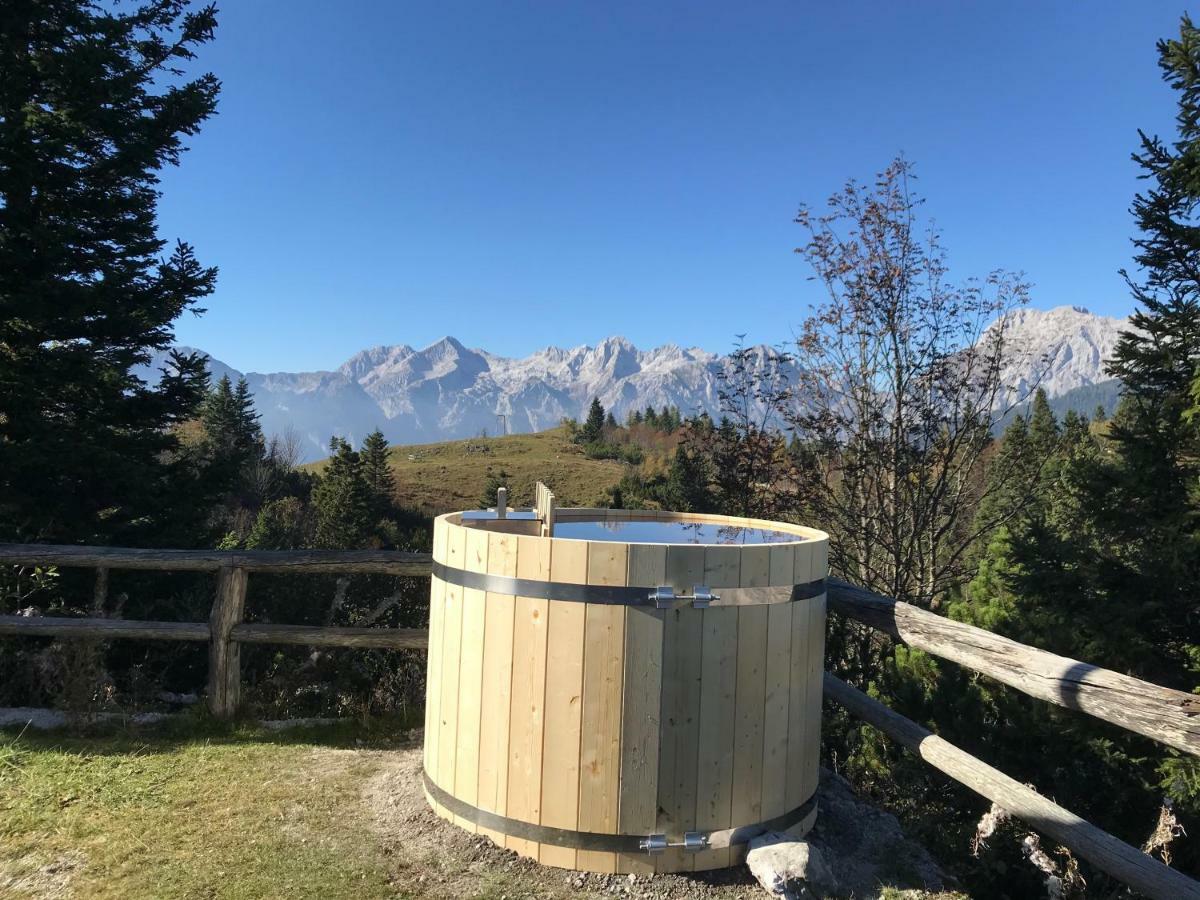 Chalet Tisa Velika Planina Стаховиця Екстер'єр фото